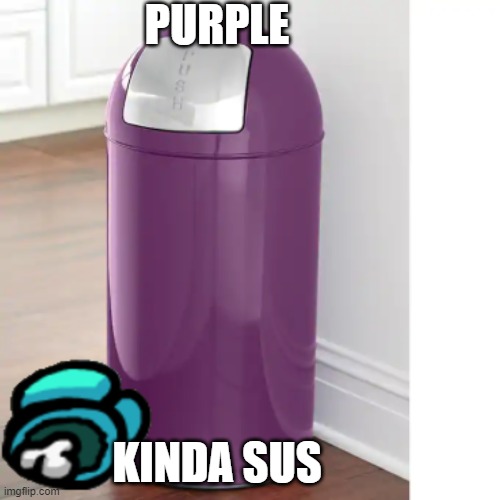 purple sus | PURPLE; KINDA SUS | image tagged in memes | made w/ Imgflip meme maker