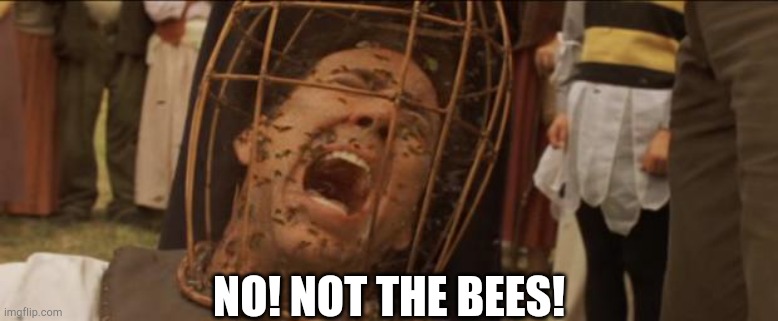 Not the bees | NO! NOT THE BEES! | image tagged in not the bees | made w/ Imgflip meme maker