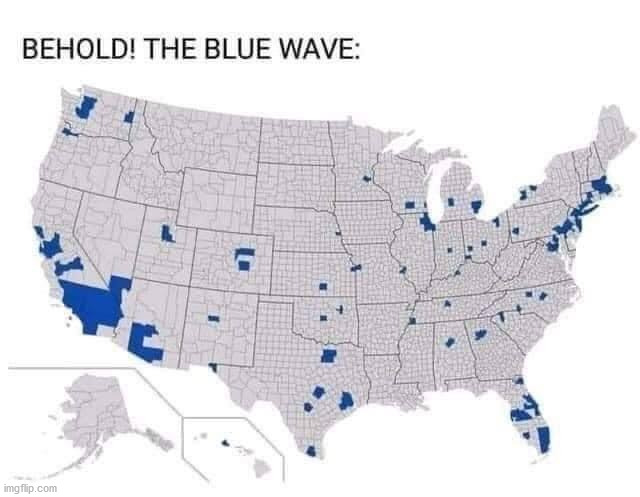 Yep.  That's it.  Those are ALL the counties in each state that voted for Biden.  This includes all of the fraudulent votes. | image tagged in democrats,election 2020,biden country | made w/ Imgflip meme maker