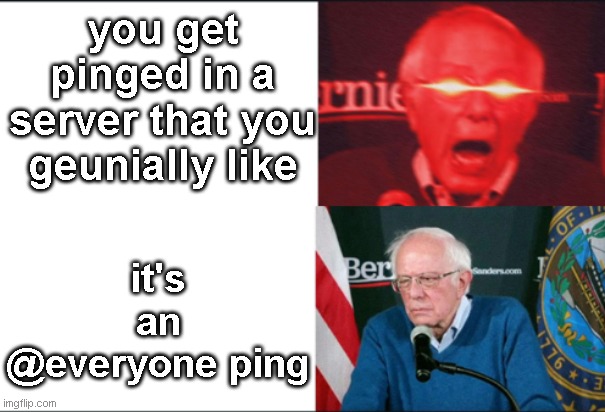 Sad... | you get pinged in a server that you geunially like; it's an @everyone ping | image tagged in discord,bernie sanders | made w/ Imgflip meme maker