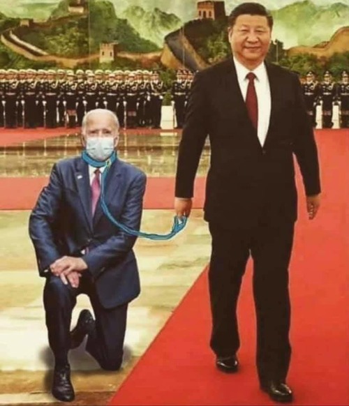 ChiCom Lapdog needs a different sort of collar around his neck | image tagged in chicom,lapdog,commie joe biden,sedition,treason,hang the bastard | made w/ Imgflip meme maker