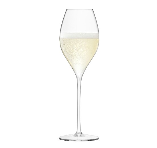 Champagne glass Blank Meme Template