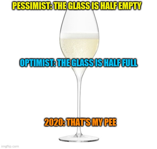 Champagne glass | PESSIMIST: THE GLASS IS HALF EMPTY; OPTIMIST: THE GLASS IS HALF FULL; 2020: THAT'S MY PEE | image tagged in champagne glass | made w/ Imgflip meme maker