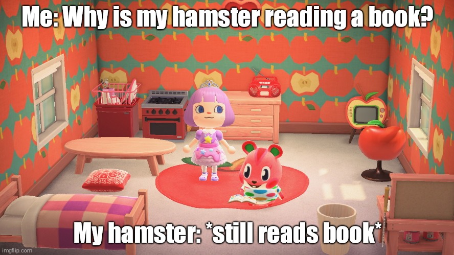 Animal Crossing Apple Reading Book | Me: Why is my hamster reading a book? My hamster: *still reads book* | image tagged in animal crossing apple reading book | made w/ Imgflip meme maker