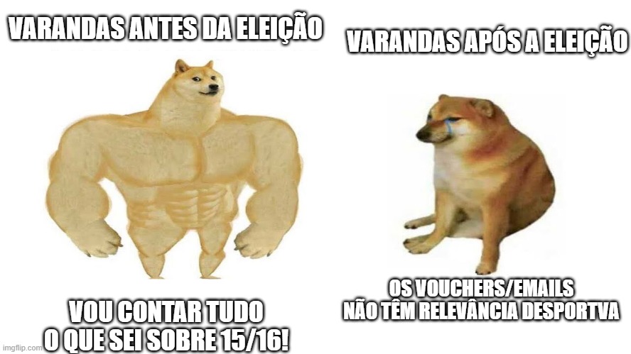 dog then now | VARANDAS ANTES DA ELEIÇÃO; VARANDAS APÓS A ELEIÇÃO; OS VOUCHERS/EMAILS NÃO TÊM RELEVÂNCIA DESPORTVA; VOU CONTAR TUDO O QUE SEI SOBRE 15/16! | image tagged in dog then now | made w/ Imgflip meme maker