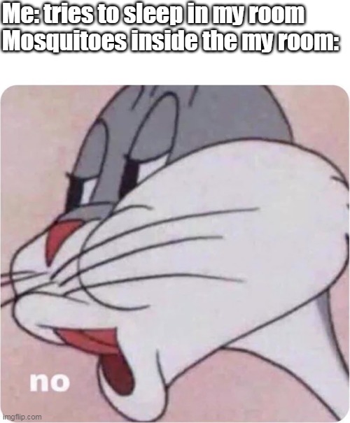bugs bunny no (probably relatable to some people) | Me: tries to sleep in my room
Mosquitoes inside the my room: | image tagged in bugs bunny no,relatable | made w/ Imgflip meme maker