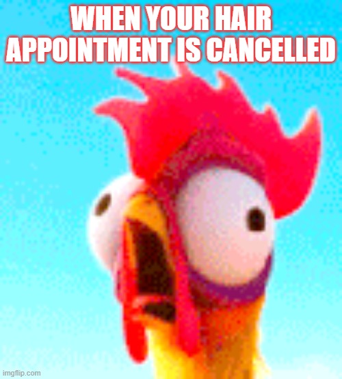 Hair Appointment | WHEN YOUR HAIR APPOINTMENT IS CANCELLED | image tagged in and everybody loses their minds | made w/ Imgflip meme maker