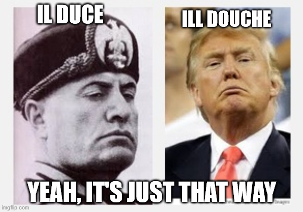 mussolini & trump | IL DUCE; ILL DOUCHE; YEAH, IT'S JUST THAT WAY | image tagged in mussolini trump | made w/ Imgflip meme maker
