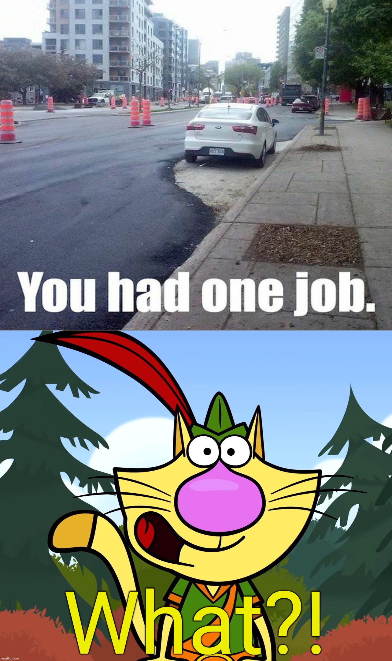 Why???!! | What?! | image tagged in no way nature cat,memes,funny,you had one job,fails,task failed successfully | made w/ Imgflip meme maker
