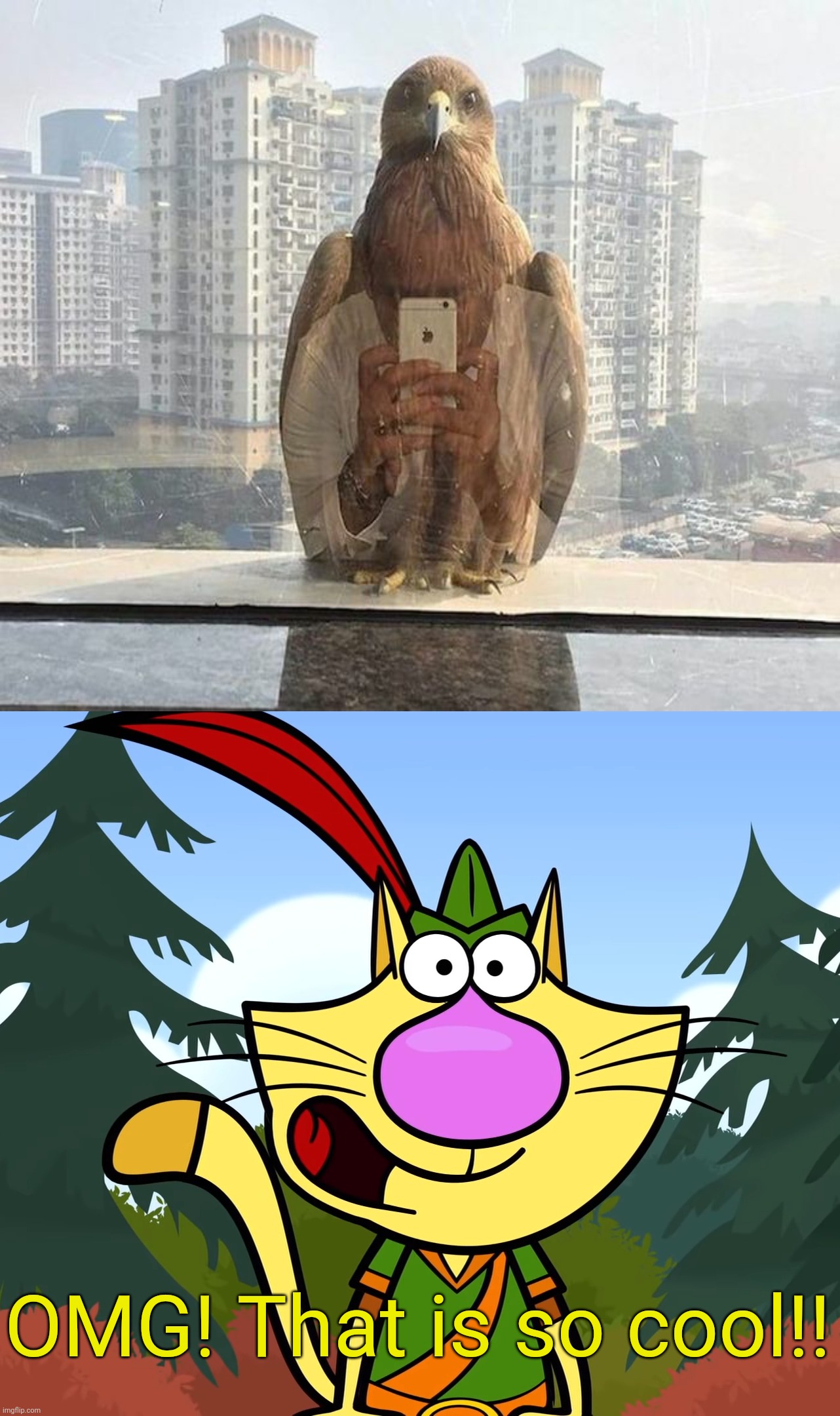 Bird Girl with a Phone!! ♥‿♥ | OMG! That is so cool!! | image tagged in no way nature cat,what a terrible day to have eyes,memes,funny,unsee juice,cursed image | made w/ Imgflip meme maker