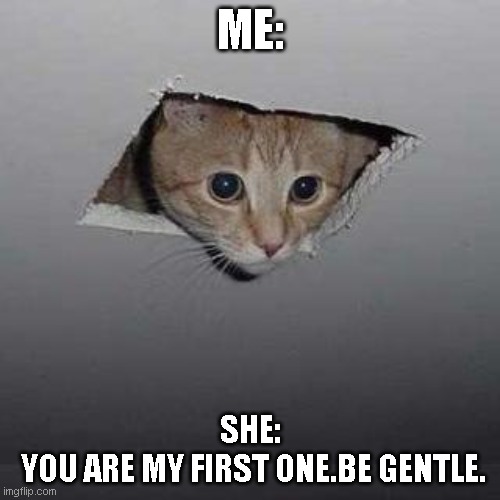 First date be like. | ME:; SHE:
 YOU ARE MY FIRST ONE.BE GENTLE. | image tagged in memes,ceiling cat | made w/ Imgflip meme maker