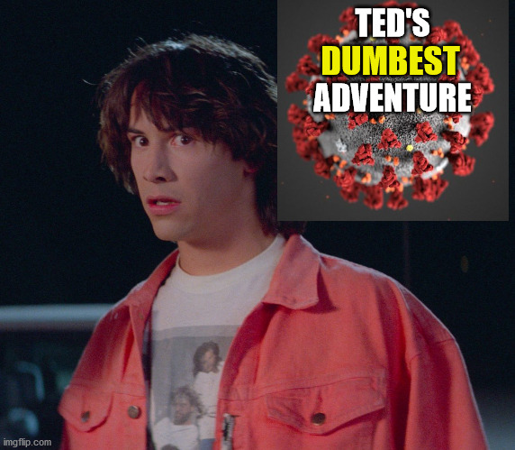 That was most non-triumphant, dude | TED'S
.
ADVENTURE; DUMBEST | image tagged in covid19,party,no masks,no safety distance | made w/ Imgflip meme maker