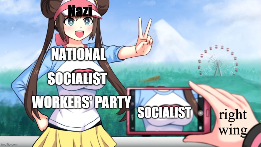 They see what they want | Nazi; NATIONAL; SOCIALIST; WORKERS' PARTY; SOCIALIST; right wing | image tagged in anime boobs | made w/ Imgflip meme maker