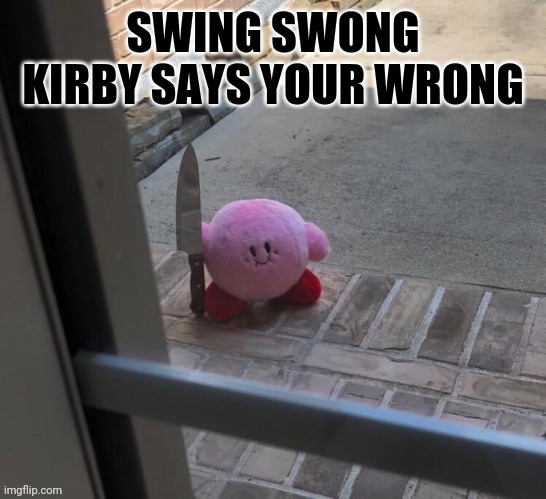 image tagged in swing swong kirby says your wrong | made w/ Imgflip meme maker