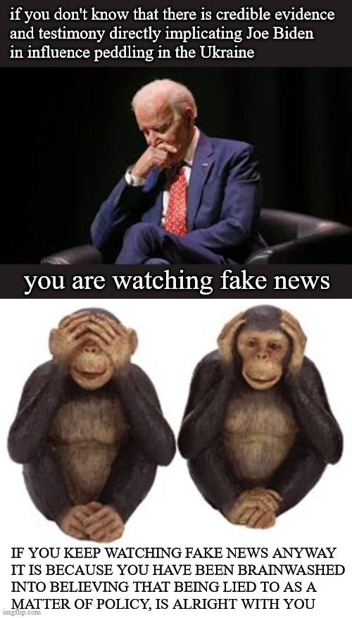 biden influence peddling | image tagged in politics | made w/ Imgflip meme maker