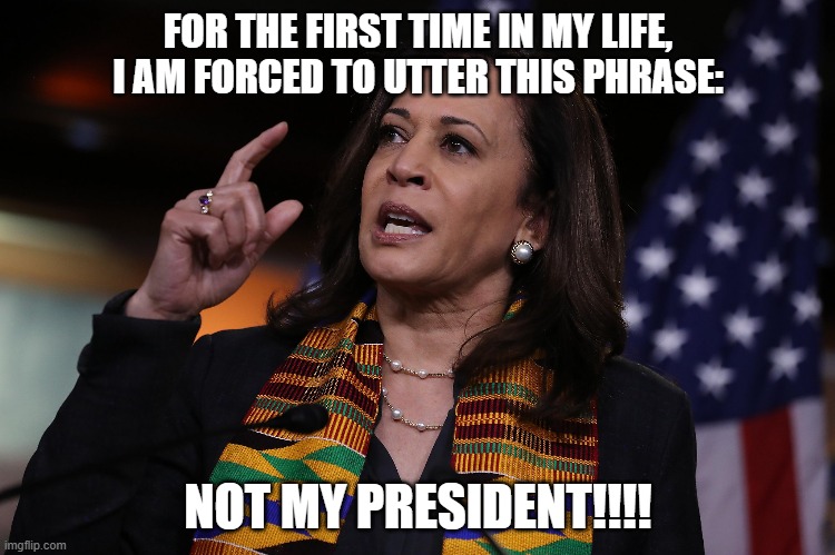 Not My President | FOR THE FIRST TIME IN MY LIFE, I AM FORCED TO UTTER THIS PHRASE:; NOT MY PRESIDENT!!!! | image tagged in kamala harris,nwo police state,theft | made w/ Imgflip meme maker