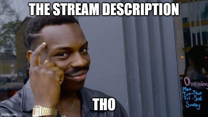 XD | THE STREAM DESCRIPTION; THO | image tagged in memes,roll safe think about it | made w/ Imgflip meme maker