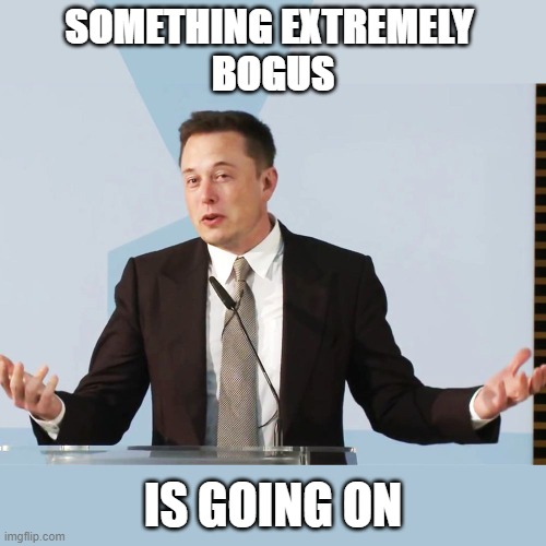 Something extremely bogus is going on | SOMETHING EXTREMELY 
BOGUS; IS GOING ON | image tagged in elon musk | made w/ Imgflip meme maker