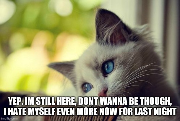 I still want to do it, she just talked me out of doing right then | YEP, IM STILL HERE, DONT WANNA BE THOUGH, I HATE MYSELF EVEN MORE NOW FOR LAST NIGHT | made w/ Imgflip meme maker
