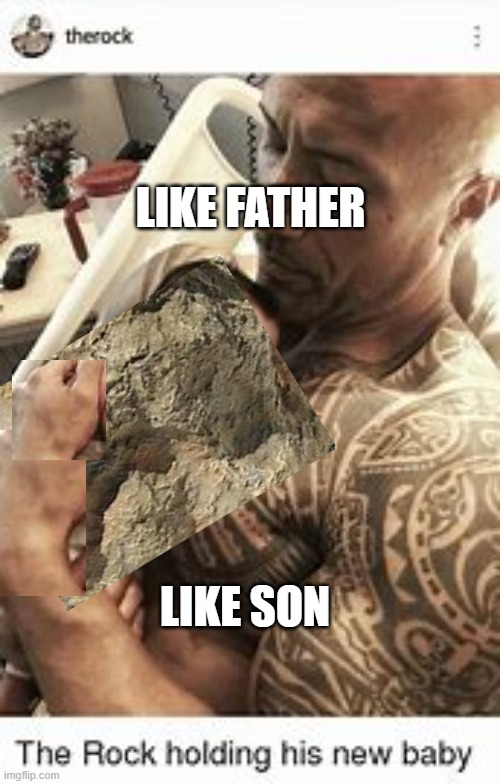 like father like son | LIKE FATHER; LIKE SON | image tagged in memes | made w/ Imgflip meme maker