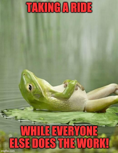 ChillinFrog | TAKING A RIDE WHILE EVERYONE ELSE DOES THE WORK! | image tagged in chillinfrog | made w/ Imgflip meme maker