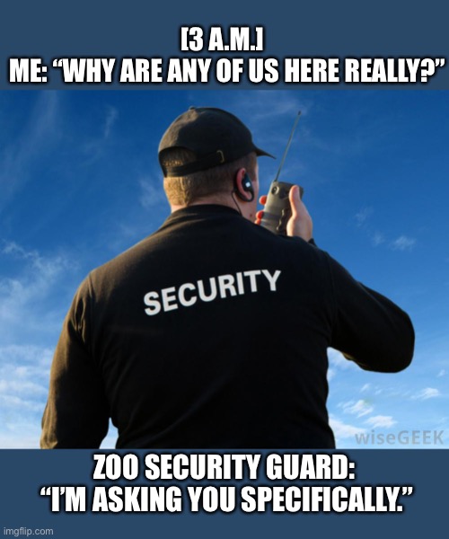 Just answer the question | [3 A.M.]  
ME: “WHY ARE ANY OF US HERE REALLY?”; ZOO SECURITY GUARD:  “I’M ASKING YOU SPECIFICALLY.” | image tagged in zoo,security,guard,questions,early,trespassing | made w/ Imgflip meme maker