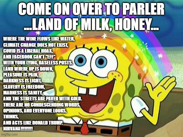 Land of milk and honey | COME ON OVER TO PARLER
...LAND OF MILK, HONEY... WHERE THE WINE FLOWS LIKE WATER, 
CLIMATE CHANGE DOES NOT EXIST, 
COVID IS A LIBERAL HOAX, 
AND FACEBOOK CAN'T "EFF" 
WITH YOUR LYING, BASELESS POSTS. 

LAND WHERE UP IS DOWN,
PLEASURE IS PAIN, 
DARKNESS IS LIGHT, 
SLAVERY IS FREEDOM, 
MADNESS IS SANITY, 
AND THE STREETS ARE PAVED WITH GOLD. 
THERE ARE NO CONDESCENDING WORDS, 
OPINIONS, AND EVERYONE LOOKS, 
THINKS, 
AND ACTS LIKE DONALD TRUMP. 
NIRVANA!!!!!!!!! | image tagged in spongebob rainbow | made w/ Imgflip meme maker