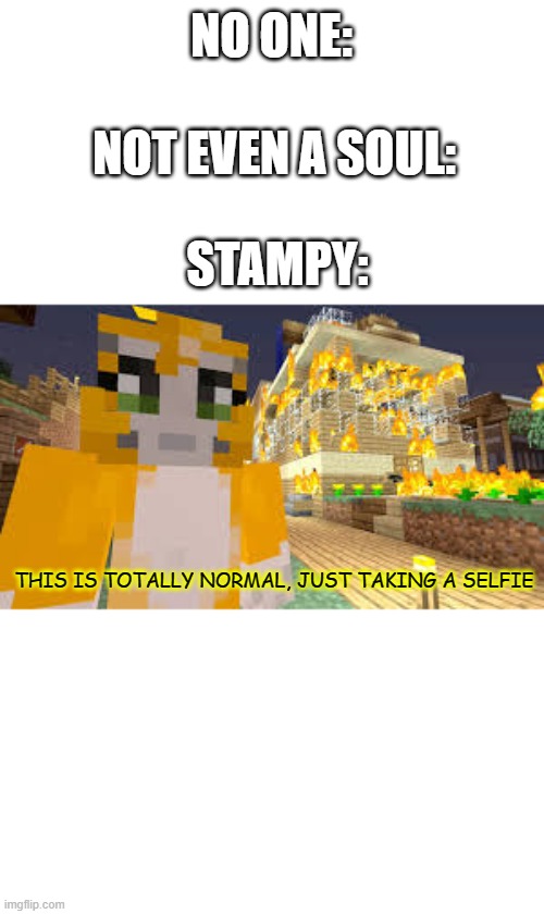 classic coming in | NO ONE:; NOT EVEN A SOUL:; STAMPY:; THIS IS TOTALLY NORMAL, JUST TAKING A SELFIE | image tagged in minecraft,fire | made w/ Imgflip meme maker