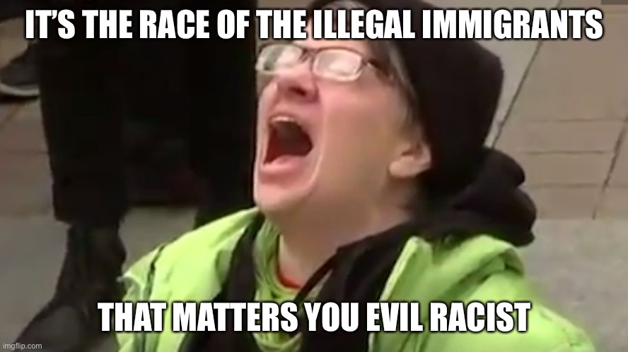 Screaming Liberal  | IT’S THE RACE OF THE ILLEGAL IMMIGRANTS THAT MATTERS YOU EVIL RACIST | image tagged in screaming liberal | made w/ Imgflip meme maker