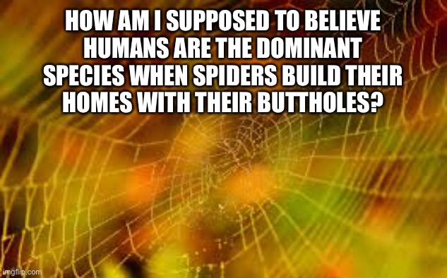 I wouldn’t want to live in a house built by my butthole | HOW AM I SUPPOSED TO BELIEVE
HUMANS ARE THE DOMINANT
SPECIES WHEN SPIDERS BUILD THEIR
HOMES WITH THEIR BUTTHOLES? | image tagged in spider web,house,species,humans,spiders,memes | made w/ Imgflip meme maker