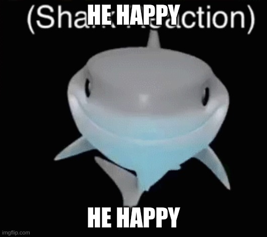 new template idea | HE HAPPY; HE HAPPY | image tagged in shark,pog | made w/ Imgflip meme maker