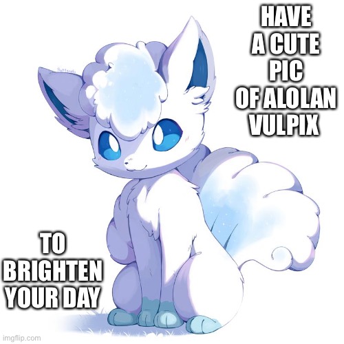 HAVE A CUTE PIC OF ALOLAN VULPIX; TO BRIGHTEN YOUR DAY | made w/ Imgflip meme maker