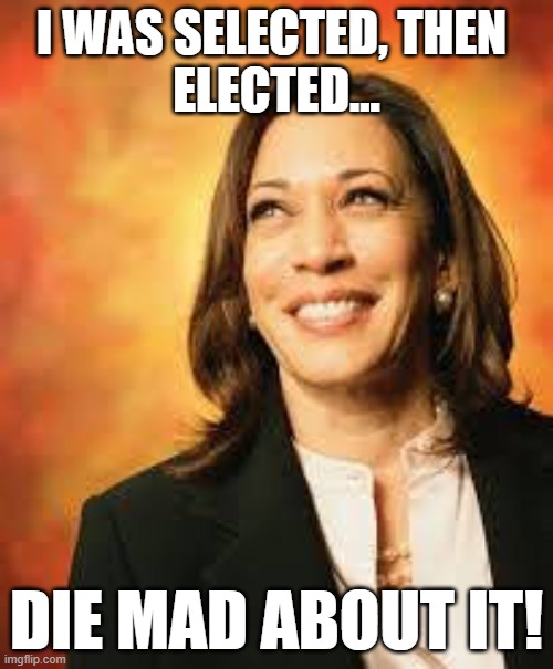 Vice President Kamala Devi Harris | I WAS SELECTED, THEN 
ELECTED... DIE MAD ABOUT IT! | image tagged in vice president,vpotus,kamala harris,biden-harris,election 2020 | made w/ Imgflip meme maker