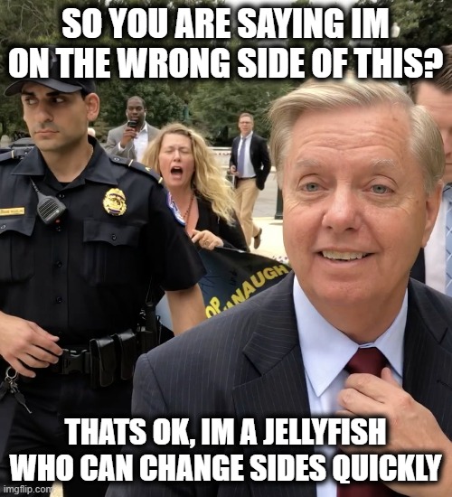 Lindsey Graham Thug Life | SO YOU ARE SAYING IM ON THE WRONG SIDE OF THIS? THATS OK, IM A JELLYFISH WHO CAN CHANGE SIDES QUICKLY | image tagged in lindsey graham thug life | made w/ Imgflip meme maker