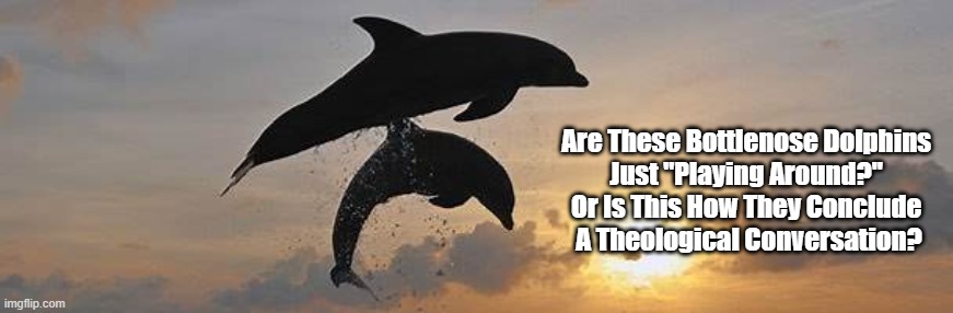 "Are These Dophins Just Paying Around?" | Are These Bottlenose Dolphins 
Just "Playing Around?" 
Or Is This How They Conclude 
A Theological Conversation? | image tagged in dolphins,worship,theological conversation | made w/ Imgflip meme maker