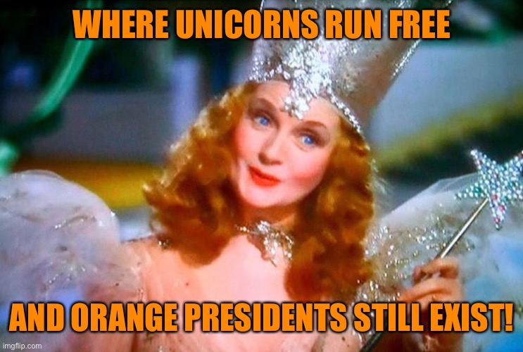 WHERE UNICORNS RUN FREE AND ORANGE PRESIDENTS STILL EXIST! | made w/ Imgflip meme maker