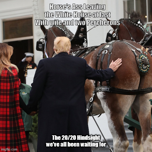 Horse's Ass leaving White House | Horse's Ass Leaving the White House at last
With wife and two Percherons; The 20/20 Hindsight we've all been waiting for | image tagged in donald trump,horse's ass,percherons,2020 hindsight,white house | made w/ Imgflip meme maker