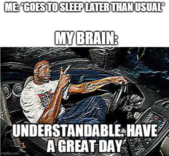 Who needs a sleep schedule? | ME: *GOES TO SLEEP LATER THAN USUAL*; MY BRAIN: | image tagged in understandable have a great day,memes | made w/ Imgflip meme maker