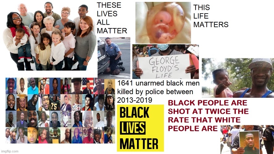 Black Lives Matter | image tagged in all lives matter,black lives matter,fetus,human rights | made w/ Imgflip meme maker