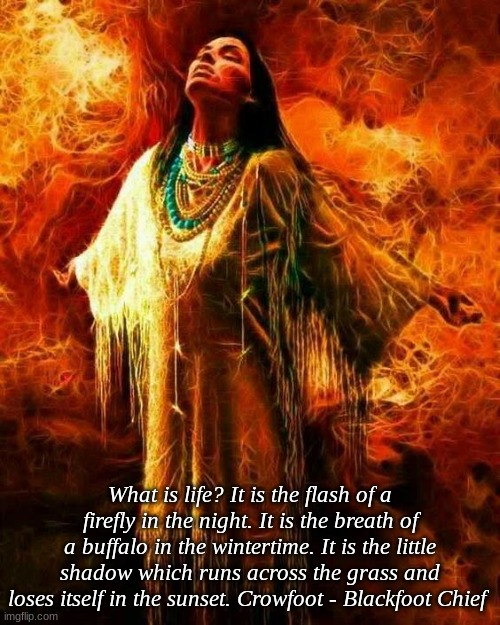 What is life? It is the flash of a firefly in the night. It is the breath of a buffalo in the wintertime. It is the little shadow which runs across the grass and loses itself in the sunset. Crowfoot - Blackfoot Chief | image tagged in wisdom | made w/ Imgflip meme maker