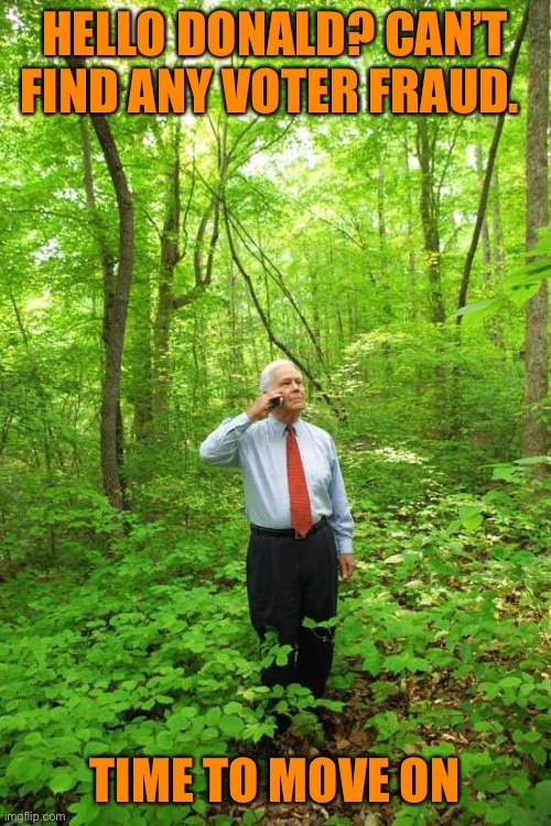 Lost in the Woods | HELLO DONALD? CAN’T FIND ANY VOTER FRAUD. TIME TO MOVE ON | image tagged in lost in the woods | made w/ Imgflip meme maker