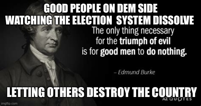 Demand a valid election. | GOOD PEOPLE ON DEM SIDE WATCHING THE ELECTION  SYSTEM DISSOLVE; LETTING OTHERS DESTROY THE COUNTRY | image tagged in edmund burke,election fraud,fake news | made w/ Imgflip meme maker