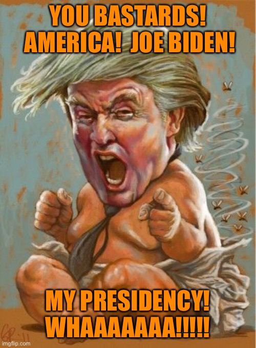 YOU BASTARDS!
 AMERICA!  JOE BIDEN! MY PRESIDENCY!
WHAAAAAAA!!!!! | made w/ Imgflip meme maker