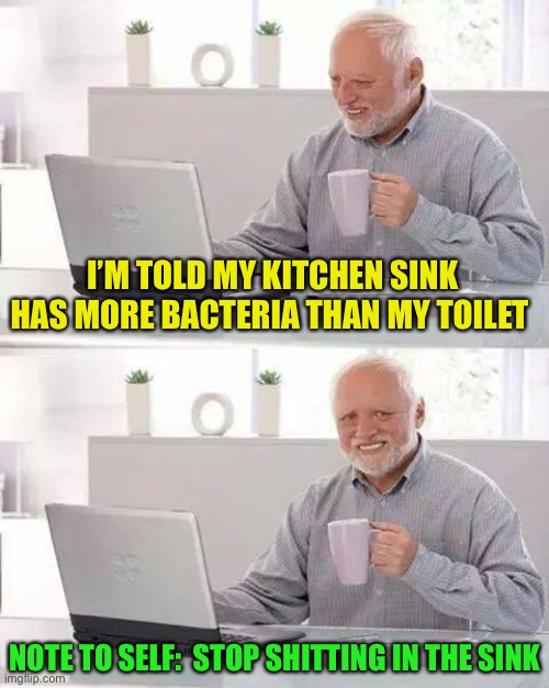 Grrrr !Splosh | I’M TOLD MY KITCHEN SINK HAS MORE BACTERIA THAN MY TOILET; NOTE TO SELF:  STOP SHITTING IN THE SINK | image tagged in memes,hide the pain harold,toilet humor,shit,unhygienic | made w/ Imgflip meme maker