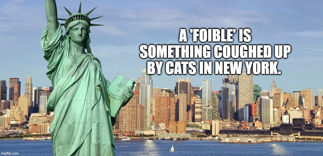 New York | A 'FOIBLE' IS SOMETHING COUGHED UP BY CATS IN NEW YORK. | image tagged in new york | made w/ Imgflip meme maker