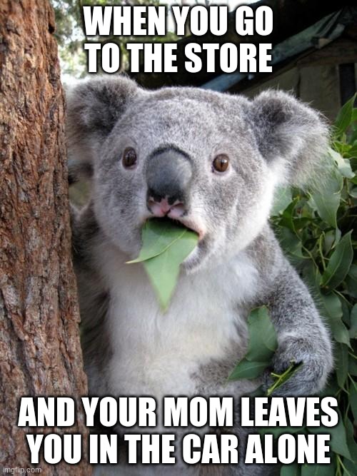 Surprised Koala Meme | WHEN YOU GO TO THE STORE; AND YOUR MOM LEAVES YOU IN THE CAR ALONE | image tagged in memes,surprised koala,mom | made w/ Imgflip meme maker