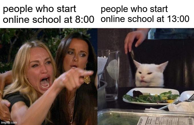 online school be like | people who start online school at 8:00; people who start online school at 13:00 | image tagged in memes,woman yelling at cat | made w/ Imgflip meme maker