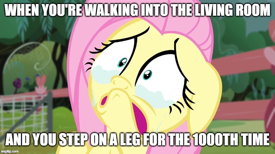 You win this time....little brother.... | WHEN YOU'RE WALKING INTO THE LIVING ROOM; AND YOU STEP ON A LEG FOR THE 1000TH TIME | image tagged in crying fluttershy | made w/ Imgflip meme maker