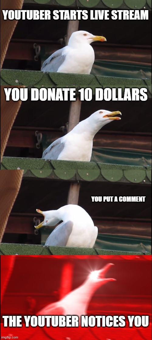 Inhaling Seagull Meme | YOUTUBER STARTS LIVE STREAM; YOU DONATE 10 DOLLARS; YOU PUT A COMMENT; THE YOUTUBER NOTICES YOU | image tagged in memes,inhaling seagull | made w/ Imgflip meme maker