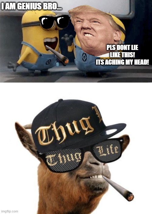 THUG LIFE MINION BY AAZIM | I AM GENIUS BRO... PLS DONT LIE LIKE THIS! ITS ACHING MY HEAD! | image tagged in memes,excited minions,thug life camel | made w/ Imgflip meme maker